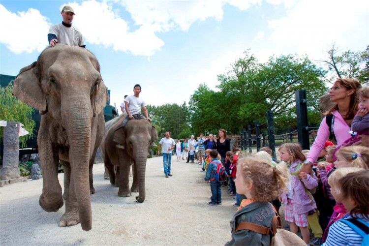 De mooiste dierentuin van Europa Pairi Daiza olifanten lopen los Belgie Henegouwen uitje vakantie