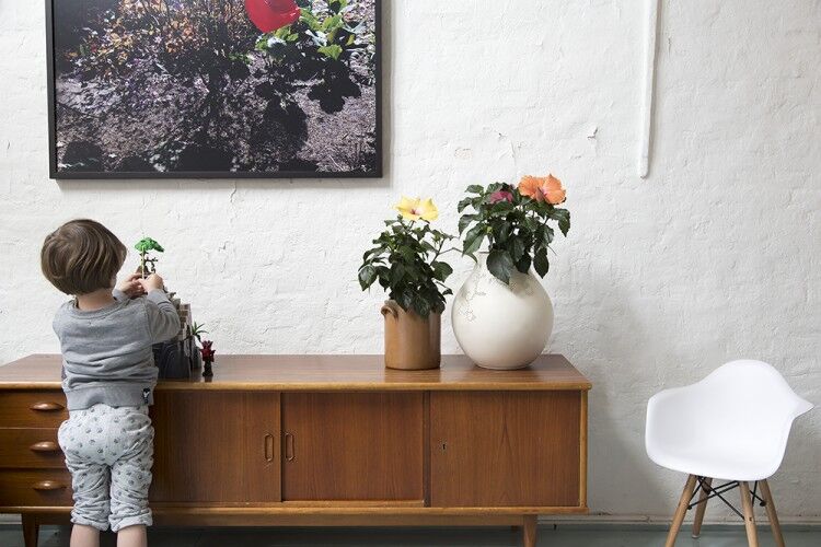 planten in huis