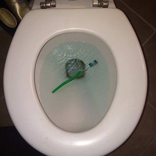 kid-who-wanted-see-mom-toothbrush-would-flush