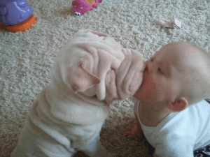 baby kissing