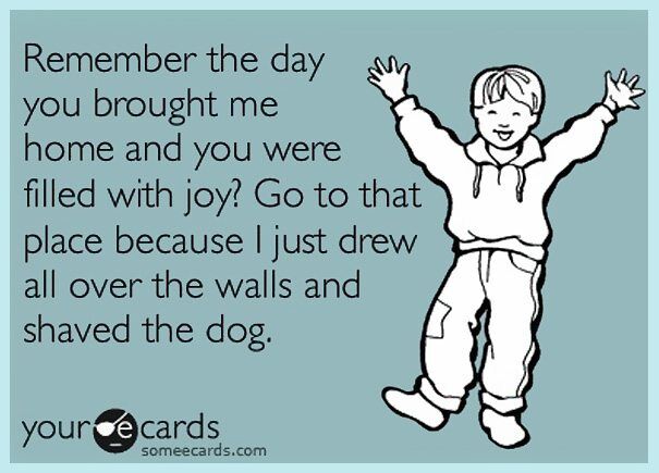 funny-parenting-ecards-someecards-28__605