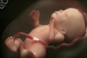 9 maanden zwangerschap in een filmpje van 4 minuten