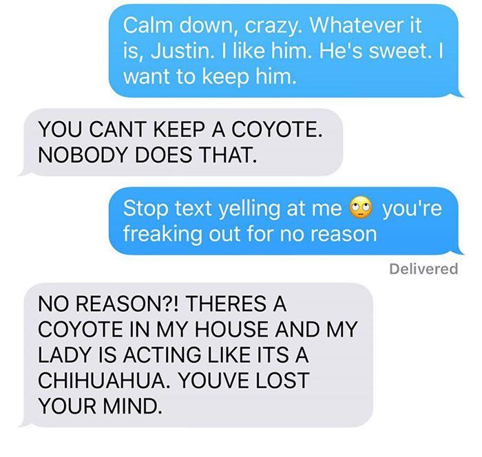 husband-freaks-out-after-his-wife-texts-him-she-brought-a-dog-home-while-the-pic-shows-its-coyote-5842a5d5dd6c0__700