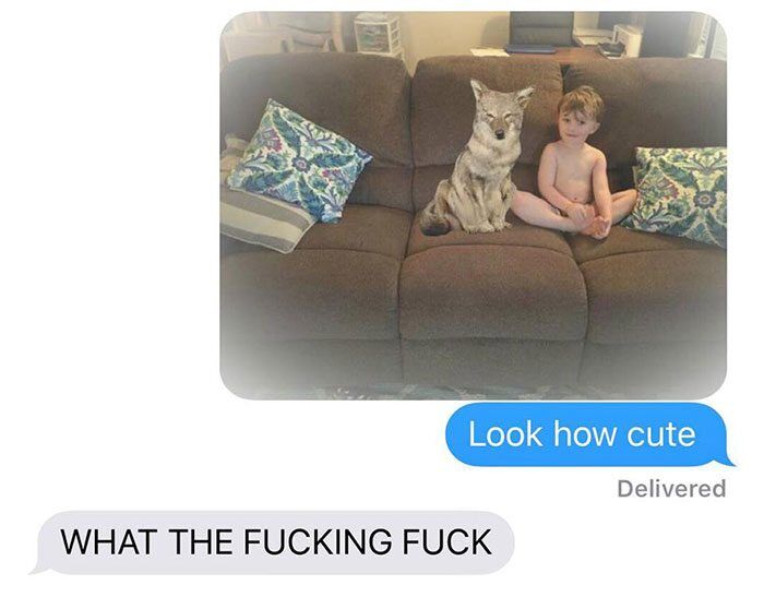 husband-freaks-out-after-his-wife-texts-him-she-brought-a-dog-home-while-the-pic-shows-its-coyote-5842a5db0520a__700