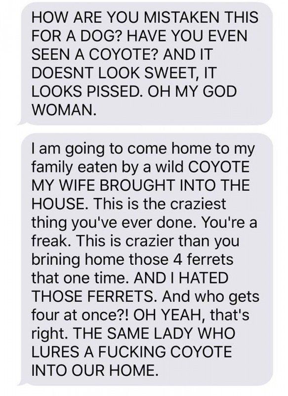 husband-freaks-out-after-his-wife-texts-him-she-brought-a-dog-home-while-the-pic-shows-its-coyote-5842a5e024ffe__700