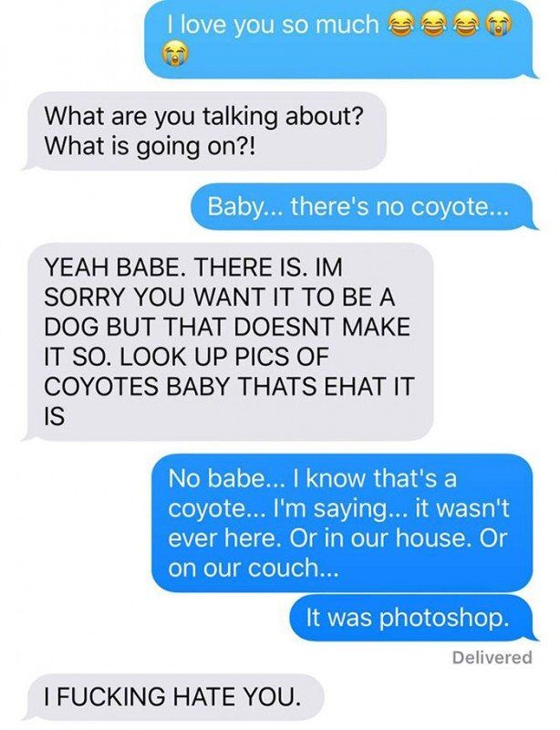 husband-freaks-out-after-his-wife-texts-him-she-brought-a-dog-home-while-the-pic-shows-its-coyote-5842a6073a7f9__700-2
