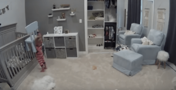 Illustratie bij: Filmpje: superslim jongetje helpt zijn kleine broertje ontsnappen uit de box