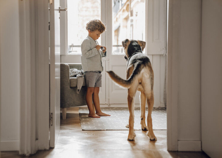 Illustratie bij: Spelen op eigen risico… Als je hond niet zo kindvriendelijk is