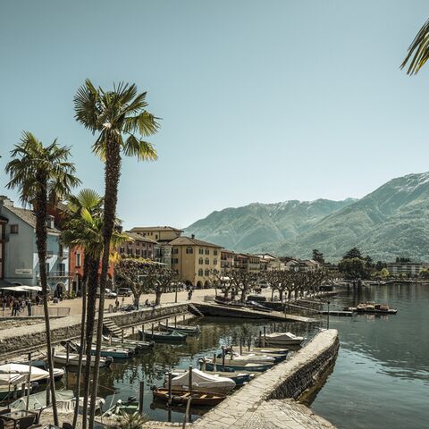 Illustratie bij: Mediterraans genieten in Zwitserland: deze zomer naar Ascona-Locarno