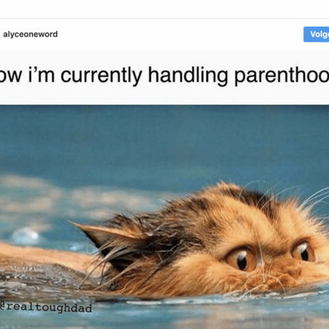 Illustratie bij: Deze briljante memes over het ouderschap zijn om te gieren