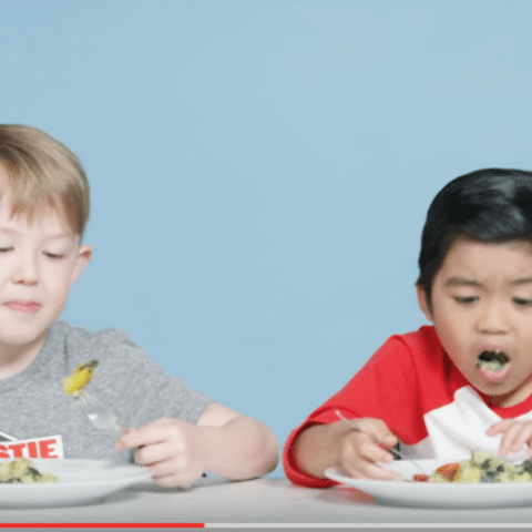 Illustratie bij: Wat gebeurt er als je Amerikaanse kinderen Nederlands eten laat proeven?