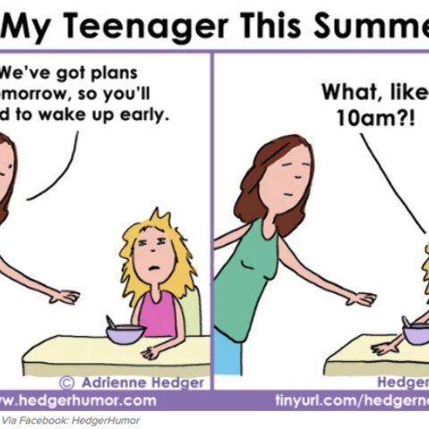 Illustratie bij: 11 strips over het leven met kinderen in de zomervakantie (‘MAAAM, IK VERVEEEEL ME…’)