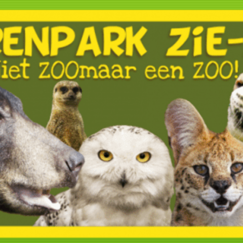 Illustratie bij: Nog geen plannen dit weekend? Ga naar Dierenpark ZieZOO in Noord-Brabant