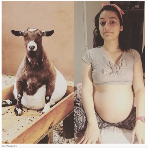 Illustratie bij: 15 Foto’s die exact laten zien hoe pijnlijk/grappig/mooi/zwaar een zwangerschap écht is