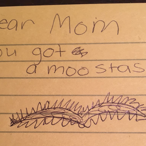 Illustratie bij: 12 Kinderbriefjes die je liever niet op de deurmat vindt