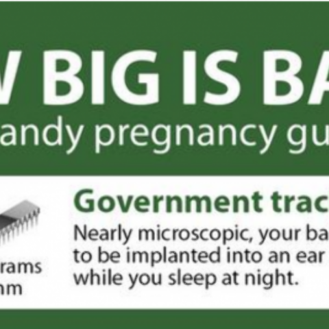 Illustratie bij: Wij presenteren u: een alternatieve zwangerschapskalender