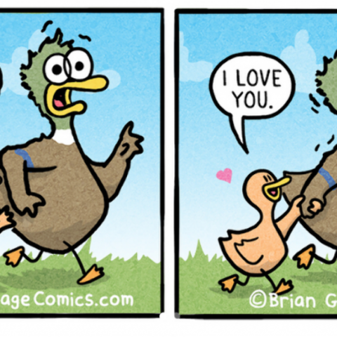 Illustratie bij: Daar zijn ze weer: 10 nieuwe briljante strips van onze favoriete eend