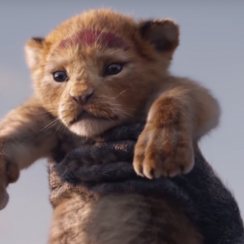 Illustratie bij: OMG, de trailer van de nieuwe Lion King is geweldig