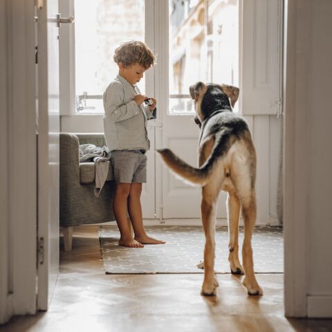 Illustratie bij: Spelen op eigen risico… Als je hond niet zo kindvriendelijk is