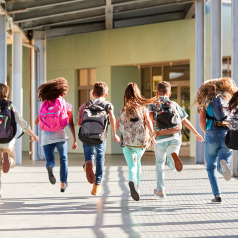 Illustratie bij: Hoe je kind zijn schoolspullen nooit meer kwijtraakt