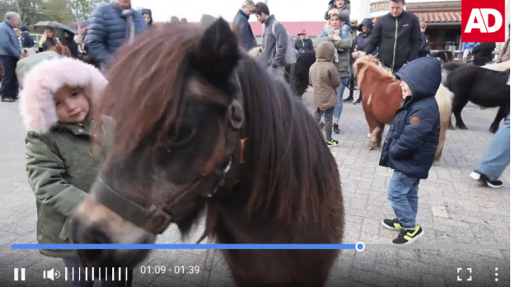 Einde van een tijdperk: gisteren verlieten de laatste pony's Ponypark Slagharen