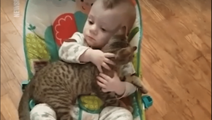 Te lief! Deze baby en zijn kitten zijn beste vriendjes!