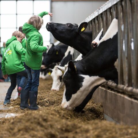 Illustratie bij: Lente, kom nou! Ik word knettergek van die kinderen in huis!