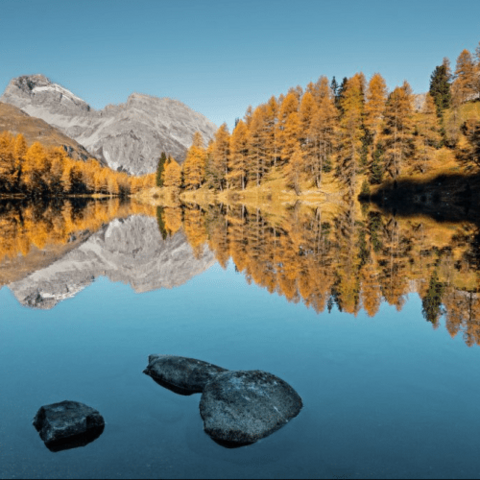 Illustratie bij: Zalig zomeren in Zwitserland – Lekker iets anders: we gaan naar Pontresina!