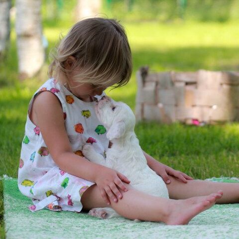 Illustratie bij: 16 Verbazingwekkende gelijkenissen tussen peuters en puppy’s