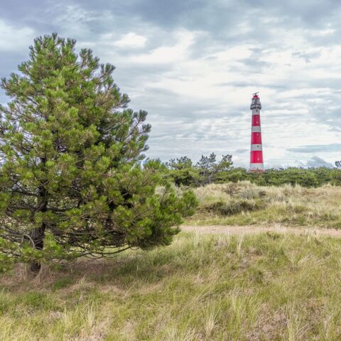 Illustratie bij: Fantastisch voor de meivakantie: uitwaaien op Ameland