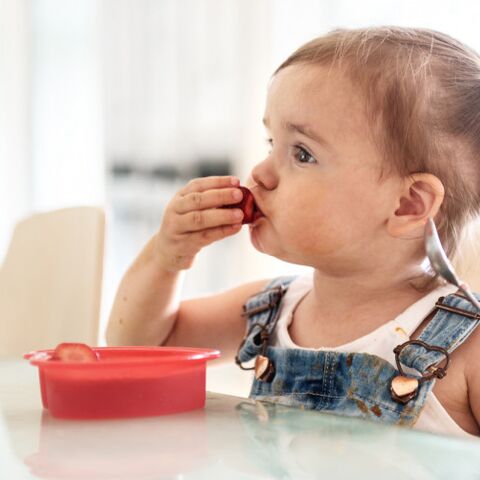 Illustratie bij: Kleine kinderen en eten, wat een drama. Maar toen ontdekte ik Rapley!