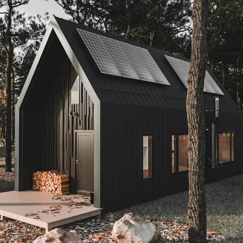 Illustratie bij: 7 onmiskenbare voordelen van zorg in de eigen tuin