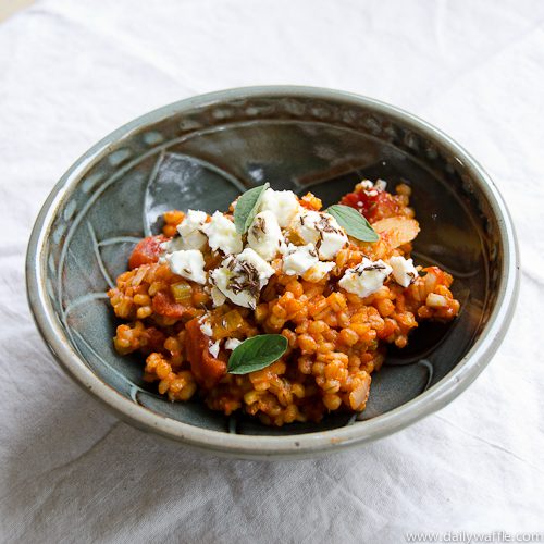kinder ottolenghi