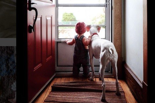 Zo zoet: hond is bang voor iedereen, behalve de baby