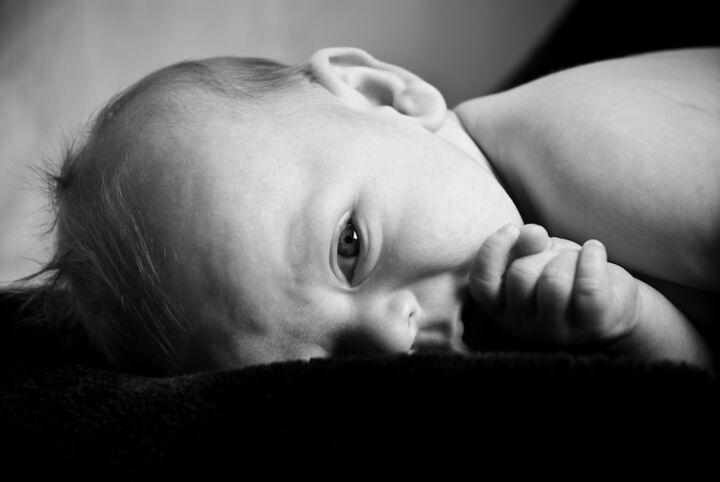 baby berg